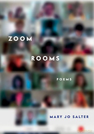 Zoom Rooms - Mary Jo Salter [KSIĄŻKA]