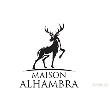 Alhambra Salvo - Woda perfumowana - Volume: 100 ml