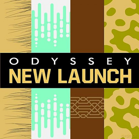 Armaf Odyssey Aoud - Woda perfumowana - Volume: 100 ml