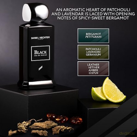 Cerruti 1881 Man - Woda toaletowa - Volume: 50 ml