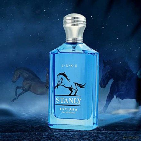 Estiara Stanly - Woda perfumowana - Volume: 100 ml
