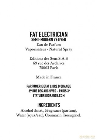 Etat Libre D´Orange Fat Electrician Semi-Modern Vetiver - Woda perfumowana - Volume: 50 ml