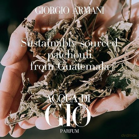 Giorgio Armani Acqua Di Gio Pour Homme Parfum - parfém (plnitelný) - Volume: 125 ml