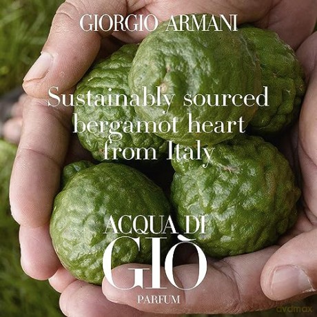 Giorgio Armani Acqua Di Gio Pour Homme Parfum - parfém (plnitelný) - Volume: 125 ml
