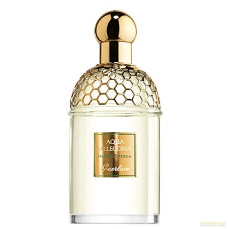 Guerlain Aqua Allegoria Herba Fresca - Woda toaletowa - Volume: 75 ml