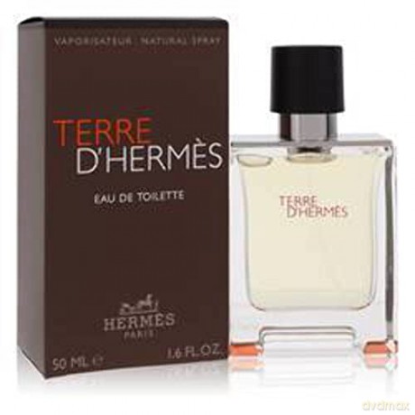 Hermes Terre D´ Hermes - Woda toaletowa - Volume: 100 ml