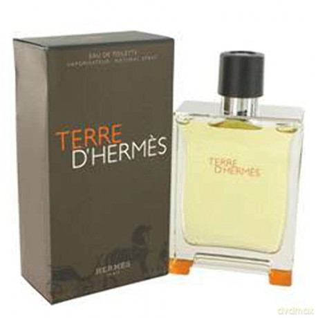 Hermes Terre D´ Hermes - Woda toaletowa - Volume: 100 ml
