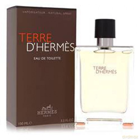 Hermes Terre D´ Hermes - Woda toaletowa - Volume: 100 ml