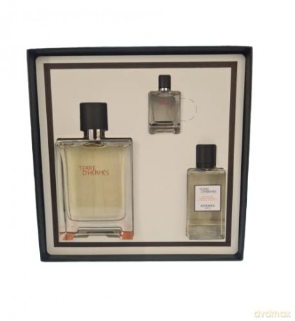 Hermes Terre D´ Hermes - Woda toaletowa 100 ml + shower gel 40 ml + Woda toaletowa 5 ml