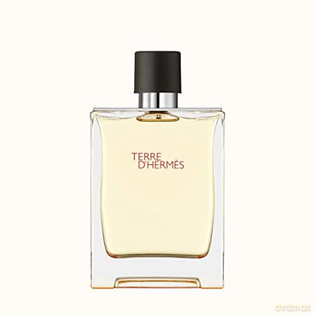Hermes Terre D´ Hermes - Woda toaletowa 30 ml (refillable) + Woda toaletowa 125 ml (refill)