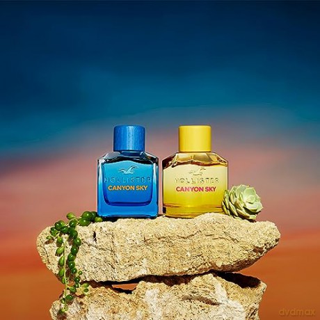 Hollister Canyon Sky For Her - Woda perfumowana - Volume: 100 ml