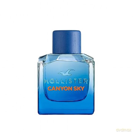 Hollister Canyon Sky For Him - Woda toaletowa - Volume: 100 ml