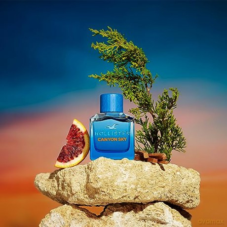 Hollister Canyon Sky For Him - Woda toaletowa - Volume: 100 ml