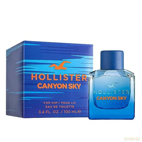 Hollister Canyon Sky For Him - Woda toaletowa - Volume: 100 ml