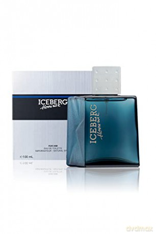 Iceberg Iceberg Homme - Woda toaletowa - Volume: 100 ml