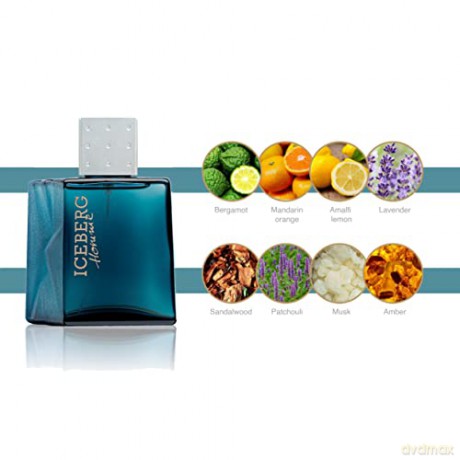 Iceberg Iceberg Homme - Woda toaletowa - Volume: 100 ml