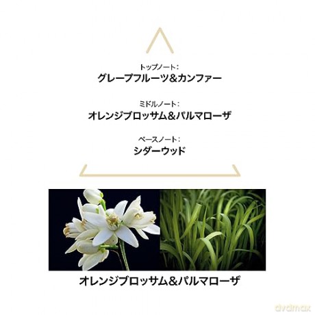 Le Couvent Maison De Parfum Aqua Mysteri - Woda kolońska - Volume: 100 ml
