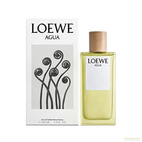 Loewe Agua - Woda toaletowa - Volume: 100 ml
