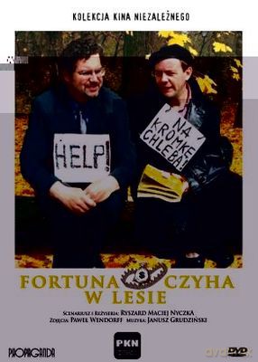 Dvd Fortuna Czyha W Lecie [KSIĄŻKA]