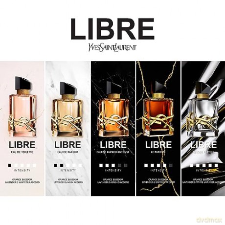 Yves Saint Laurent Libre L`Absolu Platine - parfém - Volume: 90 ml