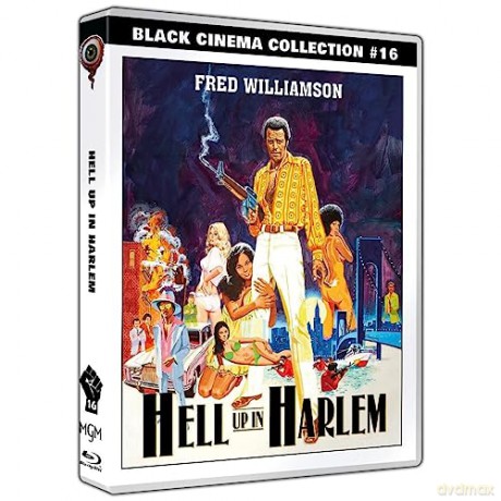 Hell Up in Harlem [Blu-Ray]+[DVD]