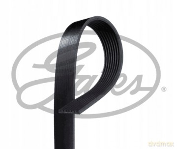 Gates 8PK1538HD Pasek klinowy wielorowkowy Mercedes Renault Ford Volvo