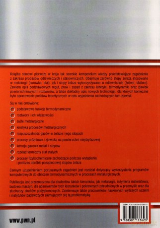Procesy Metalurgiczne i Odlewnicze Stopów Żelaza Podstawy Fizykochemiczne - Holtzer Mariusz [KSIĄŻKA]