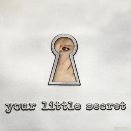 Melissa Etheridge: Your Little Secret [CD]