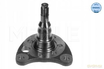 Meyle 100 501 0011 Sworzeń zwrotnicy, zawieszenie koła VW Seat