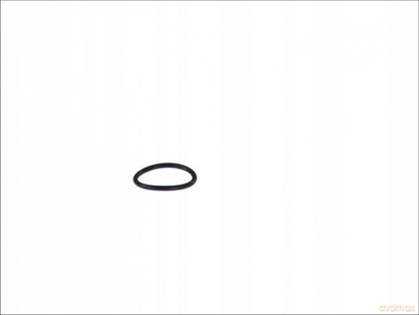 Pierścień uszczelniający DT Spare Parts 6.33083