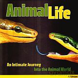 Animal life. An Intimate Journey. Into the Animal World - Heidi and Hans-Jurgen Koch [KSIĄŻKA]