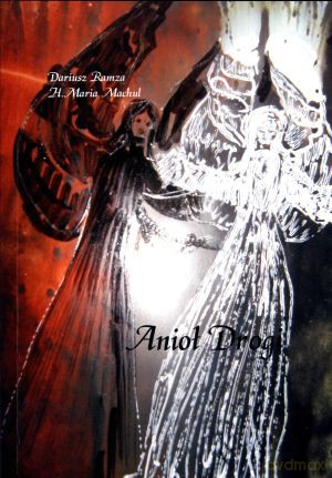 Anioł Drogi [KSIĄŻKA]