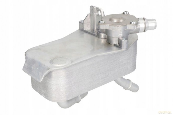 Thermotec D4B023TT Chłodnica oleju, automatyczna przekładnia BMW