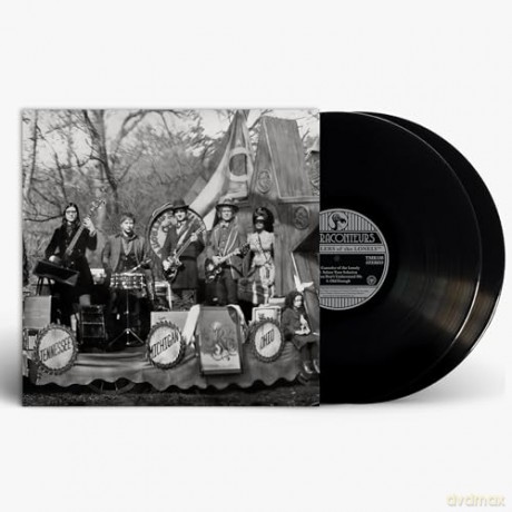 The Raconteurs: Consolers Of The Lonely [2xWinyl]