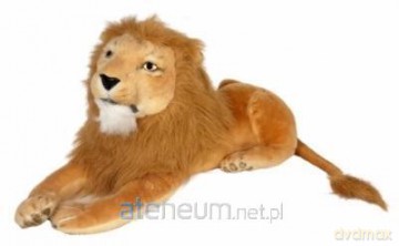 Lew 60cm
