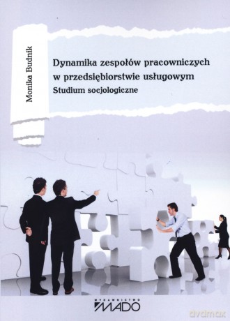 Dynamika zespołów pracowniczych w przedsiębiorstwie usługowym. Studium socjologiczne - Monika Budnik [KSIĄŻKA]