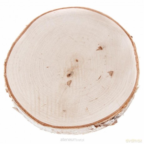 Plaster drewna 15-16cm