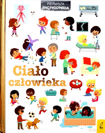 Ciało człowieka. Pierwsza encyklopedia [KSIĄŻKA]