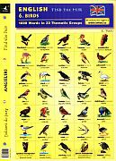 English. Find the Pair. Birds [KSIĄŻKA]