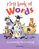 First Book of Words - Neil Morris [KSIĄŻKA]