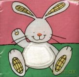 Furry bunny [KSIĄŻKA]