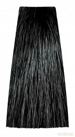 CHANT.PROF 100 g farba COLORART nr 1/0