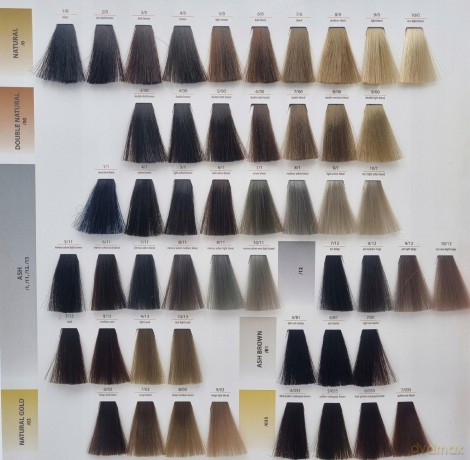 CHANT.PROF 100 g farba COLORART nr 1/0