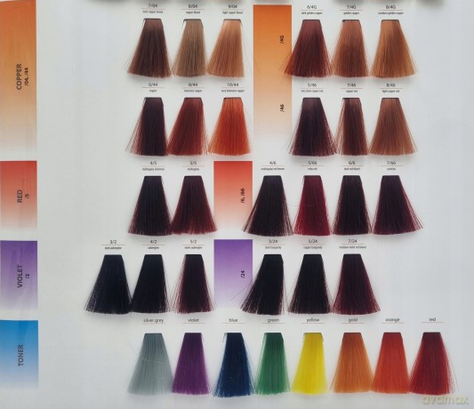 CHANT.PROF 100 g farba COLORART nr 1/0