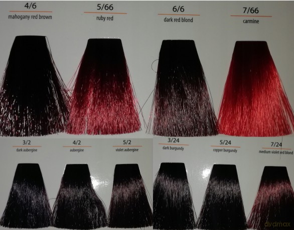 CHANT.PROF 100 g farba COLORART nr 10/12