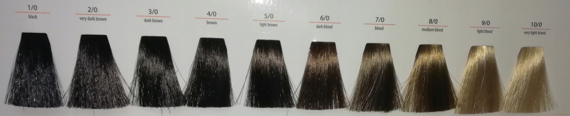 CHANT.PROF 100 g farba COLORART nr 10/32