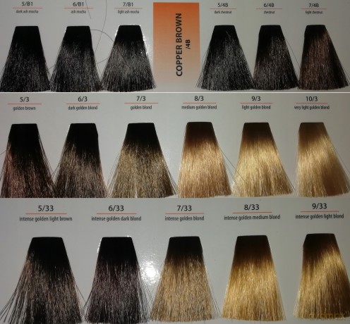 CHANT.PROF 100 g farba COLORART nr 6/0