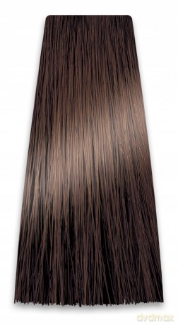 CHANT.PROF 100 g farba COLORART nr 6/00