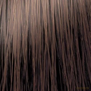 CHANT.PROF 100 g farba COLORART nr 6/00