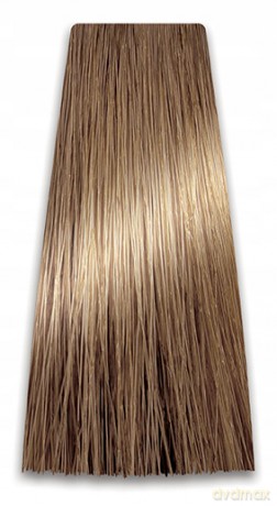 CHANT.PROF 100 g farba COLORART nr 8/0